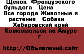 Щенок  Французского бульдога › Цена ­ 35 000 - Все города Животные и растения » Собаки   . Хабаровский край,Комсомольск-на-Амуре г.